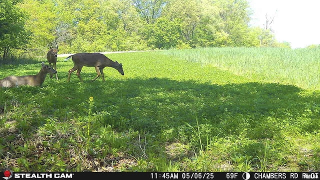 0 Chambers Rd, Smithfield, IL 61477 - photo 23