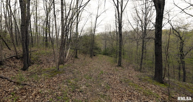 0 Chambers Rd, Smithfield, IL 61477 - photo 24