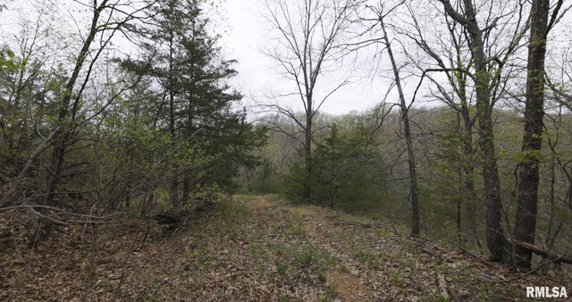 0 Chambers Rd, Smithfield, IL 61477 - photo 25