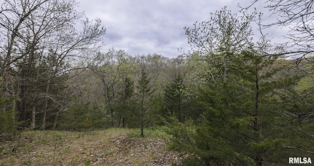 0 Chambers Rd, Smithfield, IL 61477 - photo 26