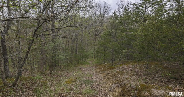 0 Chambers Rd, Smithfield, IL 61477 - photo 27