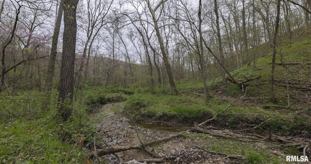 0 Chambers Rd, Smithfield, IL 61477 - photo 28