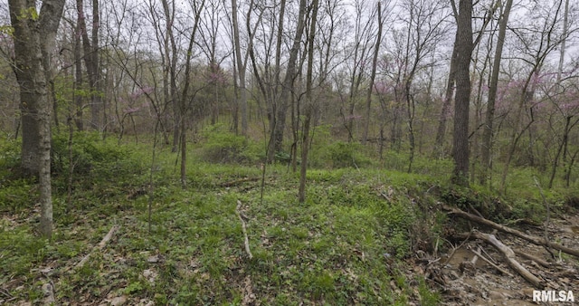 0 Chambers Rd, Smithfield, IL 61477 - photo 30