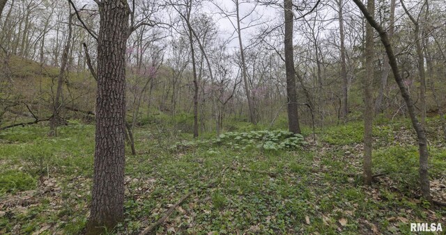 0 Chambers Rd, Smithfield, IL 61477 - photo 31