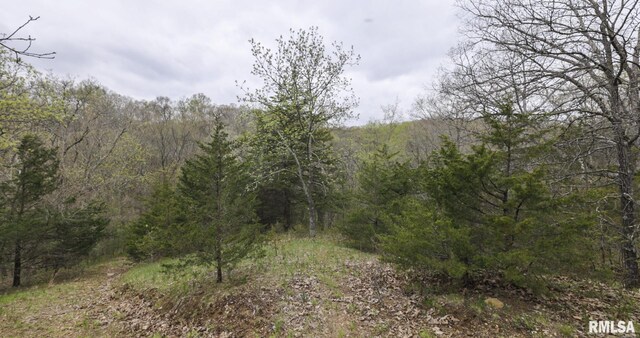 0 Chambers Rd, Smithfield, IL 61477 - photo 34