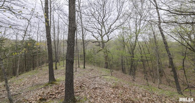 0 Chambers Rd, Smithfield, IL 61477 - photo 37