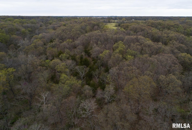 0 Chambers Rd, Smithfield, IL 61477 - photo 39