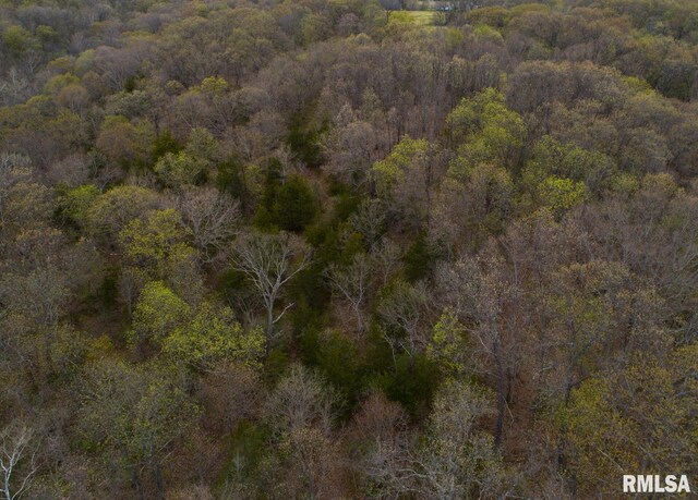 0 Chambers Rd, Smithfield, IL 61477 - photo 40