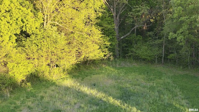 0 Chambers Rd, Smithfield, IL 61477 - photo 5