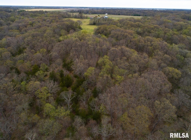 0 Chambers Rd, Smithfield, IL 61477 - photo 41