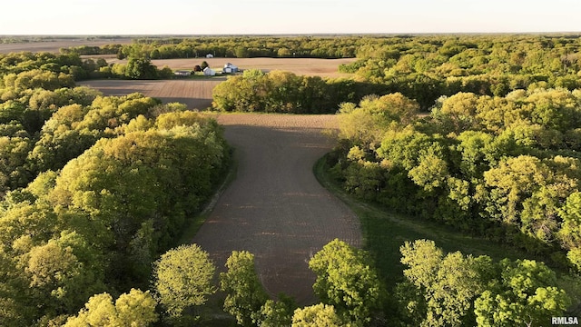 0 Chambers Rd, Smithfield, IL 61477 - photo 7