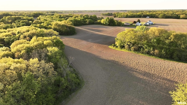 0 Chambers Rd, Smithfield, IL 61477 - photo 8