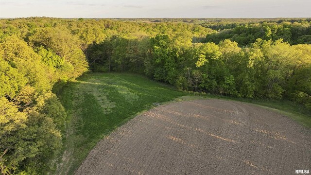 0 Chambers Rd, Smithfield, IL 61477 - photo 9