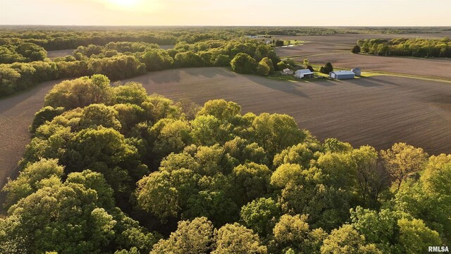 0 Chambers Rd, Smithfield, IL 61477 - photo 10