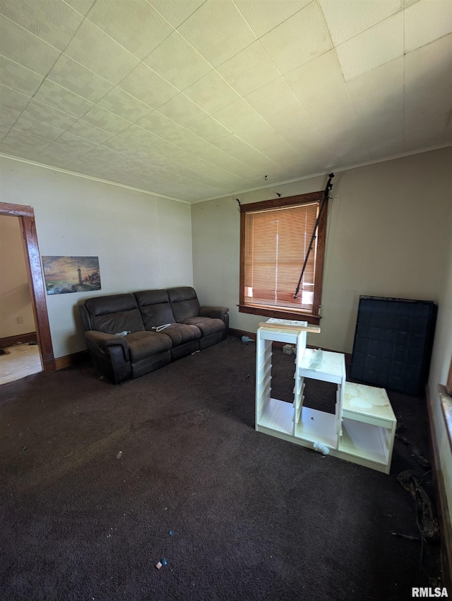 2217 NE Madison Ave, Peoria, IL 61603 - view of carpeted living area