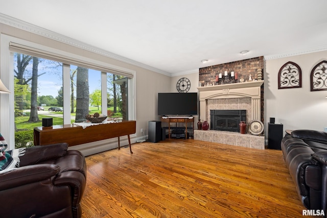 living room featuring a fireplace, ornamental molding, and wood finished floors
