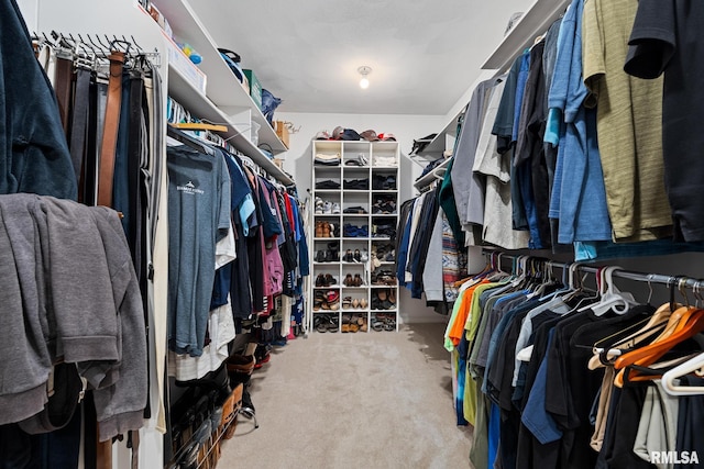 walk in closet featuring carpet floors