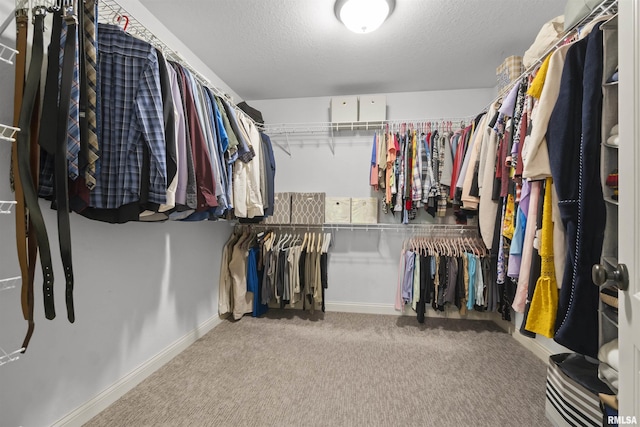 walk in closet with carpet
