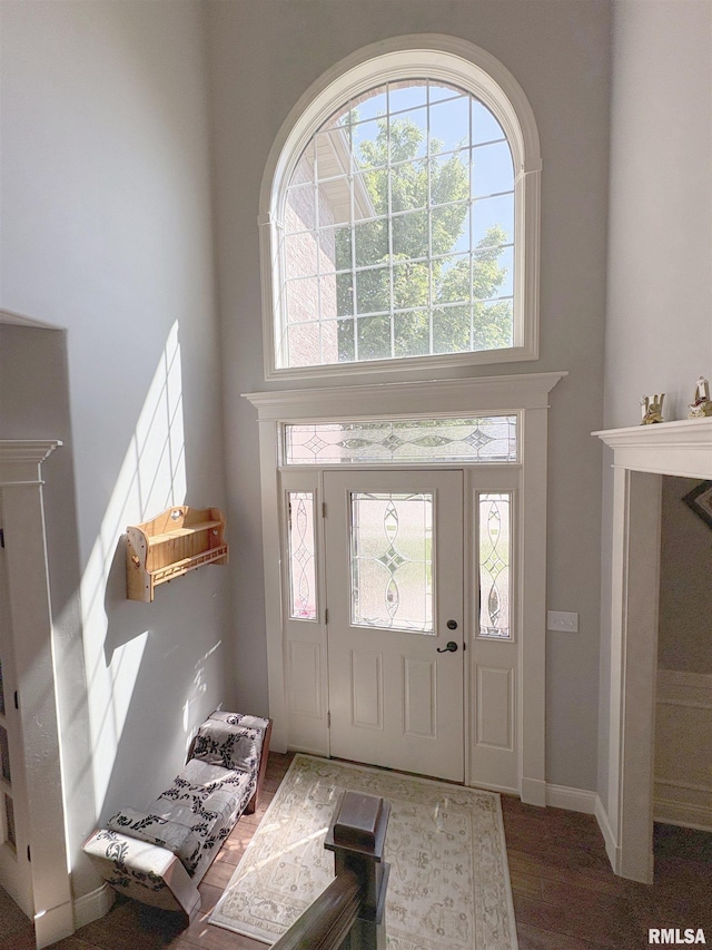 entrance foyer featuring a towering ceiling and wood finished floors