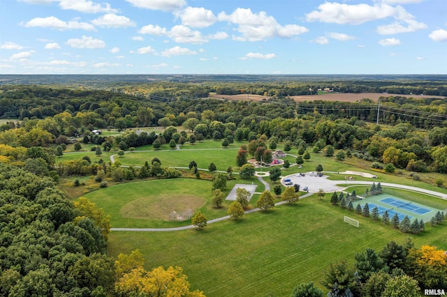 drone / aerial view