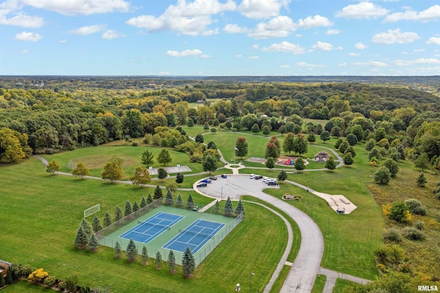 drone / aerial view of a forest