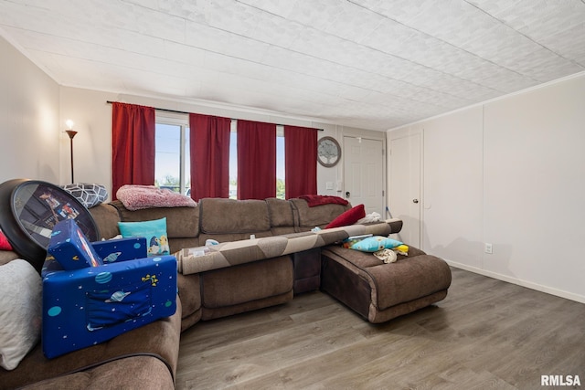 106 Ernest St Unit A & B, Washington, IL 61571 - living room featuring wood finished floors and crown molding