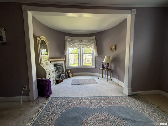 111 N Broadway St, Lewistown, IL 61542 - living area with carpet, baseboards, and a tile fireplace