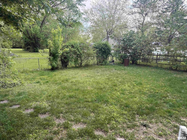 111 N Broadway St, Lewistown, IL 61542 - view of yard