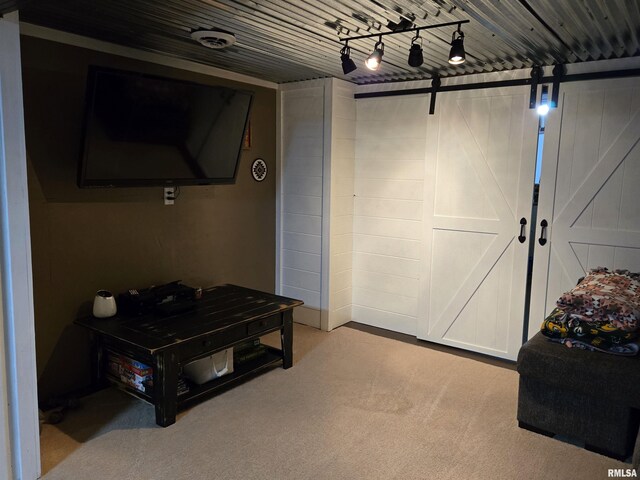 212 Conch Dr, La Harpe, IL 61450 - basement featuring carpet floors and a barn door