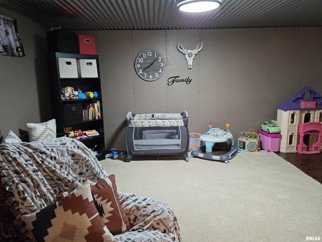 212 Conch Dr, La Harpe, IL 61450 - view of playroom