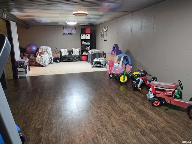 212 Conch Dr, La Harpe, IL 61450 - playroom featuring wood finished floors