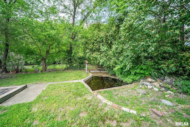 1425 N Vaughn Ave, West Peoria, IL 61604 - view of green lawn