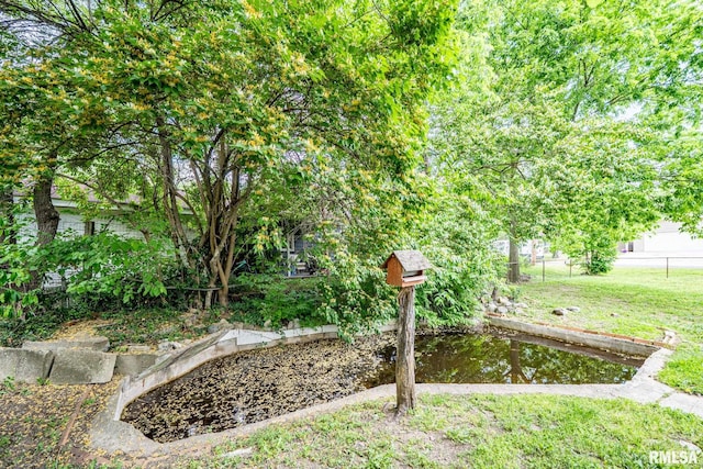 1425 N Vaughn Ave, West Peoria, IL 61604 - view of yard