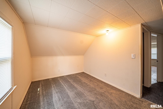 304 Meyers St, South Pekin, IL 61564 - bonus room with carpet floors, baseboards, and vaulted ceiling