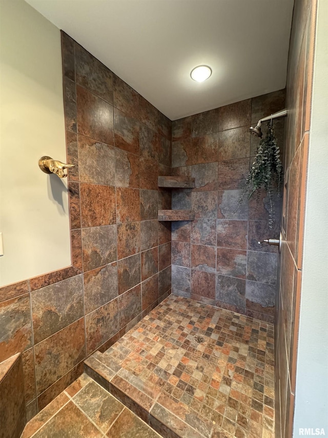 6 Marty Ln, Macomb, IL 61455 - full bathroom featuring a tile shower