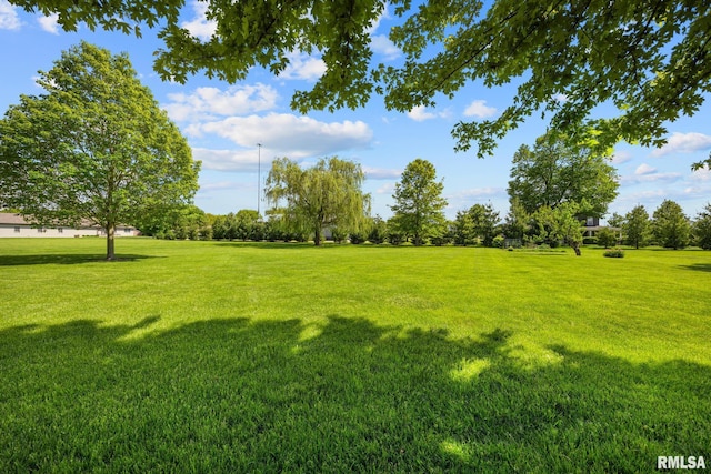 view of grassy yard