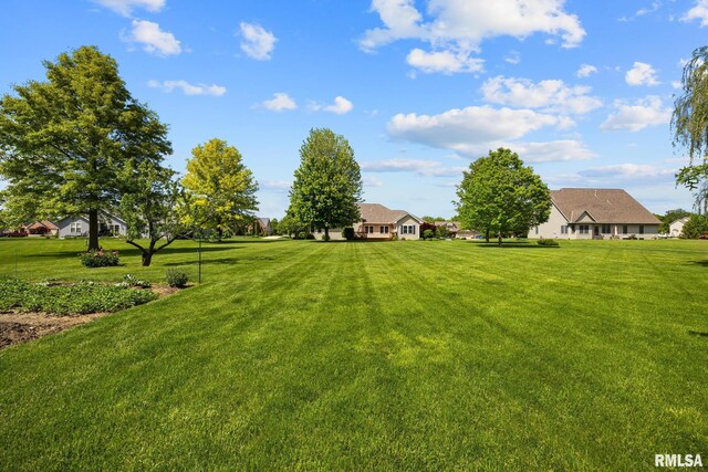 view of green lawn