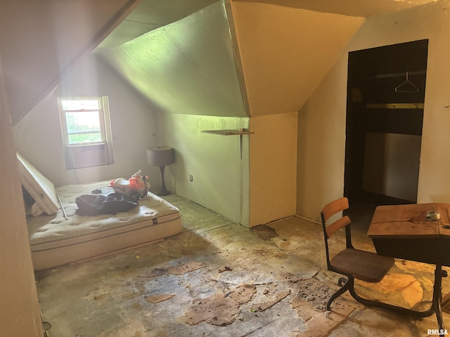 additional living space with lofted ceiling