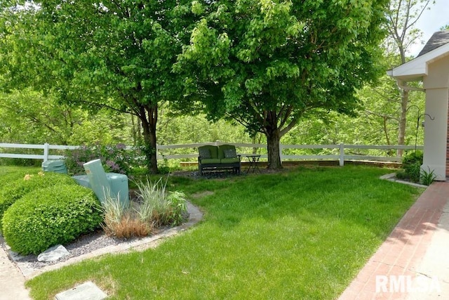 view of yard
