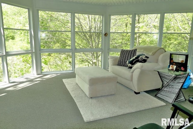sunroom with healthy amount of natural light