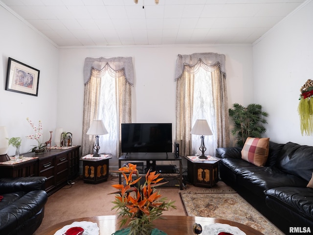 1218 N Sheridan Rd, Peoria, IL 61606 - carpeted living room with plenty of natural light and crown molding