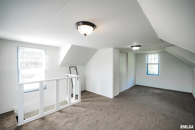 additional living space with carpet floors and vaulted ceiling