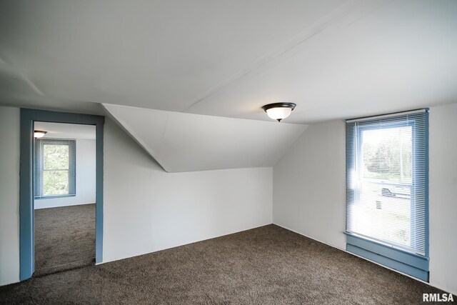 additional living space featuring carpet floors and vaulted ceiling