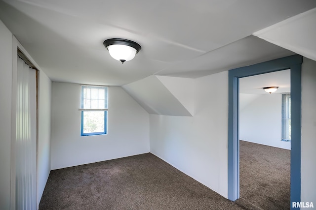 additional living space with carpet floors and vaulted ceiling