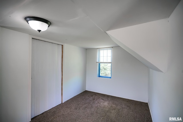 bonus room with dark colored carpet