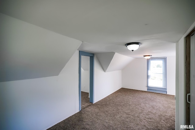 additional living space with carpet flooring and lofted ceiling