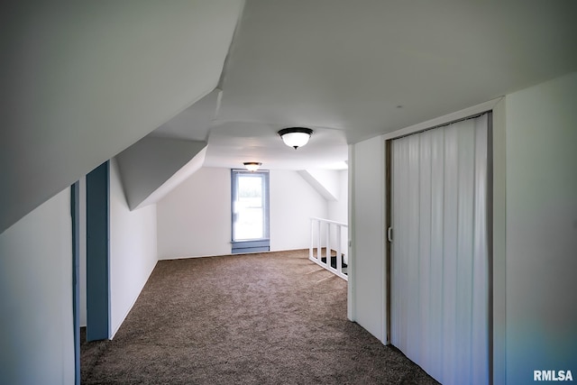 additional living space featuring carpet floors and lofted ceiling