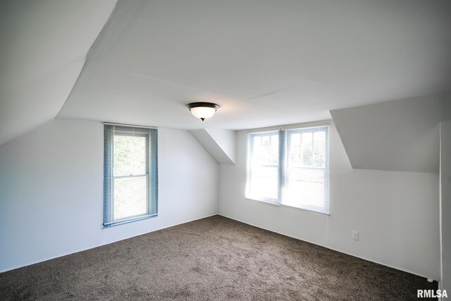 additional living space featuring carpet flooring and vaulted ceiling