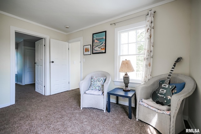 living area featuring carpet and crown molding