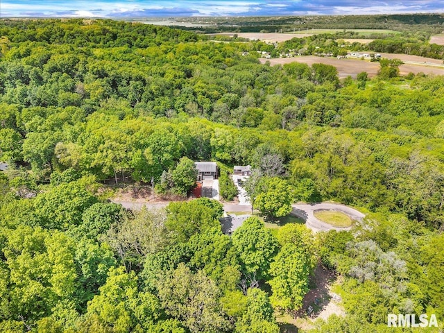 153 Spring Creek Ter, East Peoria, IL 61611 - bird's eye view of a forest